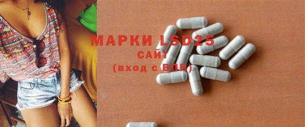 спиды Магас