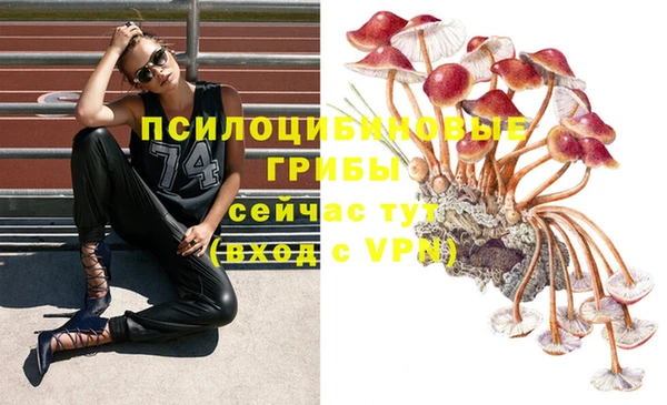 СК Балабаново
